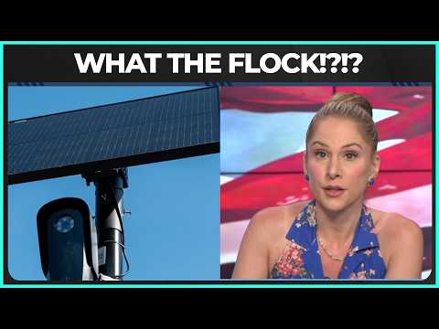 Flock Cameras Are A HUGE PROBLEM