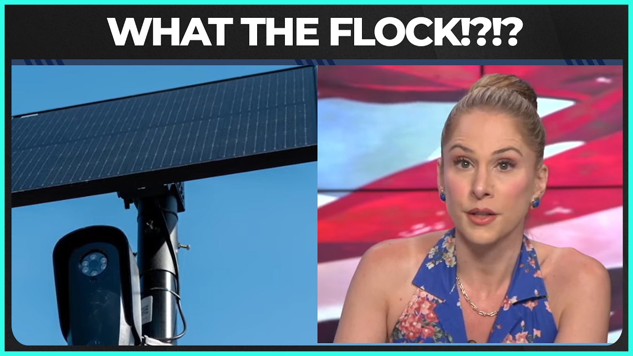 Flock Camera Surveillance and Civil Liberties Concerns