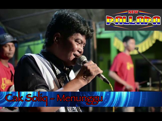 Menunggu - New Pallapa voc. Soliq irwansyah class=