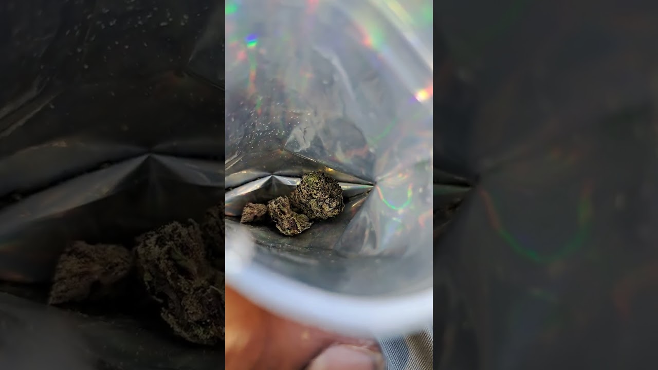 zeclair blue by north south distro x dubz garden