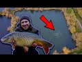 CARP FISHING IN WINTER (Catch more on cold days)
