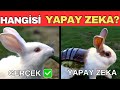 Hangisi Gerçek, Hangisi Yapay Zeka 🧠 Gözlem Becerilerinizi Test Edin! 68 Karşılaştırmalı Soru!