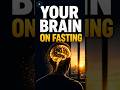 Your Brain After 16 Hours of Fasting