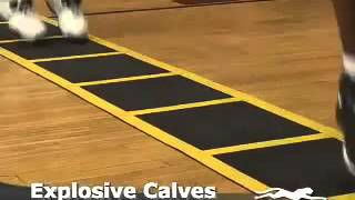 Stroops Roll-Out Ladder for Agility Running Drills