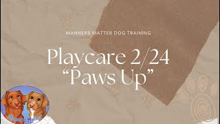 Playcare, February 2024: Paws Up by Manners Matter Dog Training and Daycare 12 views 1 month ago 3 minutes, 25 seconds