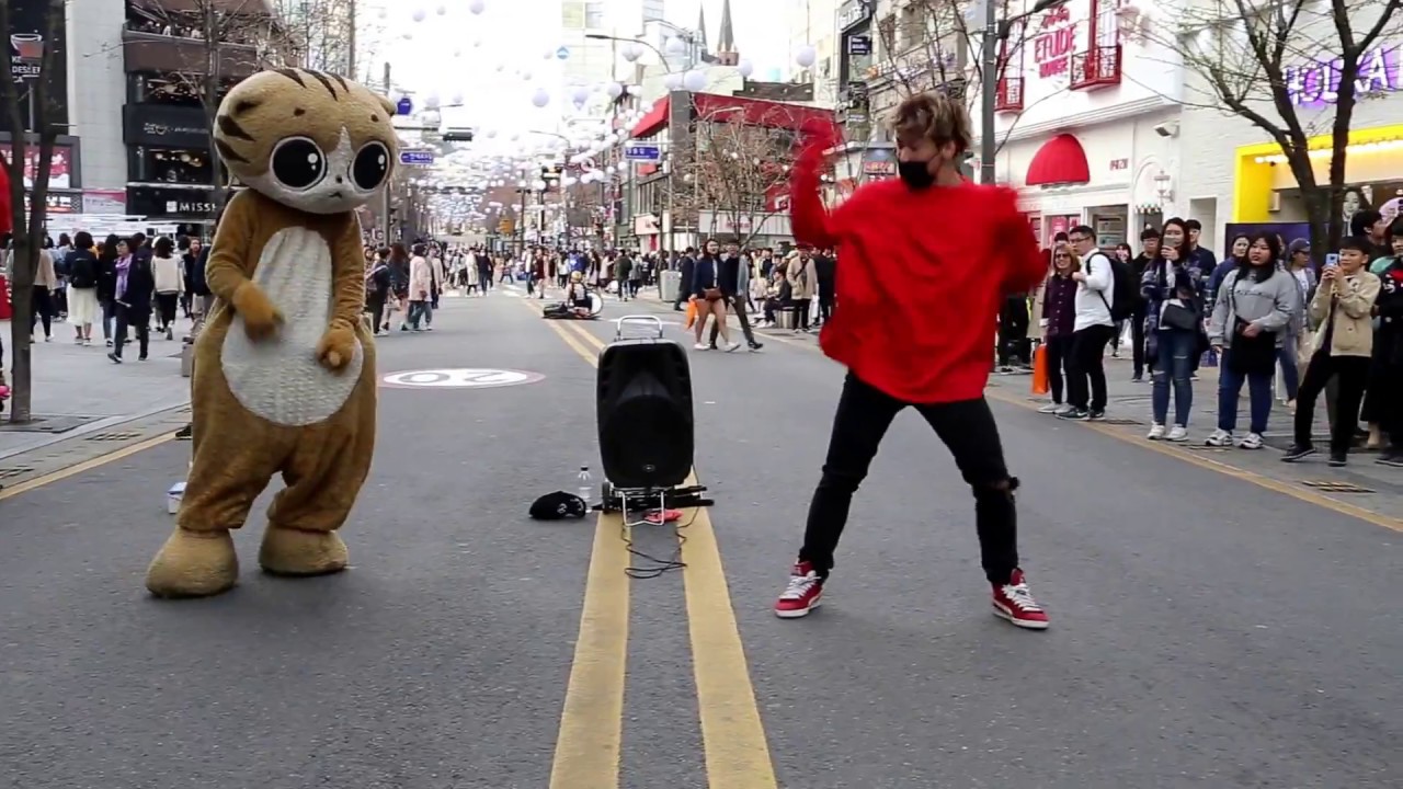 JHKTV]名物猫とディオ非special cat dance＆dobハル（他のバージョン）