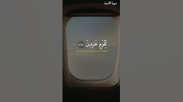 سورة الأنبياء 🎧 | الشيخ محمد صديق المنشاوي