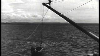 Lobster Fishing (1949)