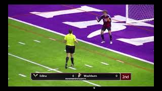 2019 MSHSL Boys State Semi - Edina v Washburn - DOGSO Decision