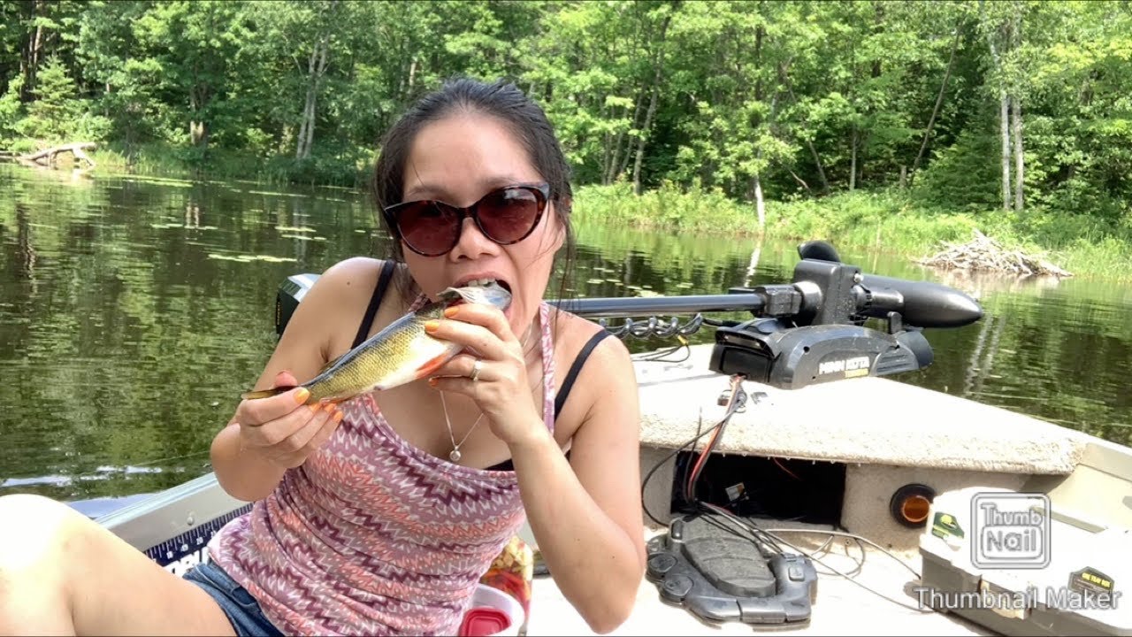FISHING CATCH AND EAT RAW HOW TO EAT RAW FISH YouTube fishing-catch-and-eat-raw-how-to-eat-raw-fish-youtube