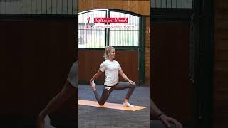 3 Übungen Für Besseres Aussitzen Im Trab