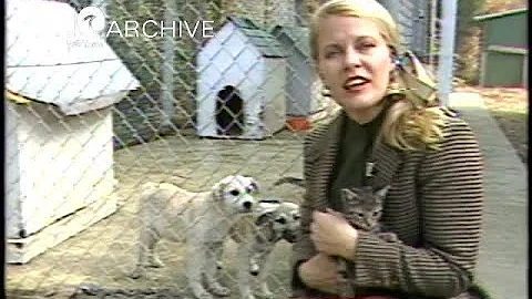 WAVY Archive: 1982 Animal Humane Laws