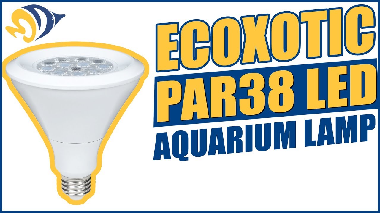 Ecolux Pro PAR38 LED電球 6500Kを113個まとめて