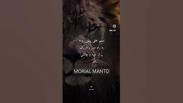 دنده عقب ما خرابه افتااااد Explore Viral Style Fashion Viralvideo Reels 