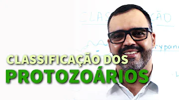 Por que os protozoários não devem ser classificados no reino animal?