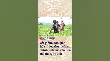 Cắt giảm, đơn giản hóa nhiều thủ tục hành chính lĩnh vực văn hóa, thể thao, du lịch