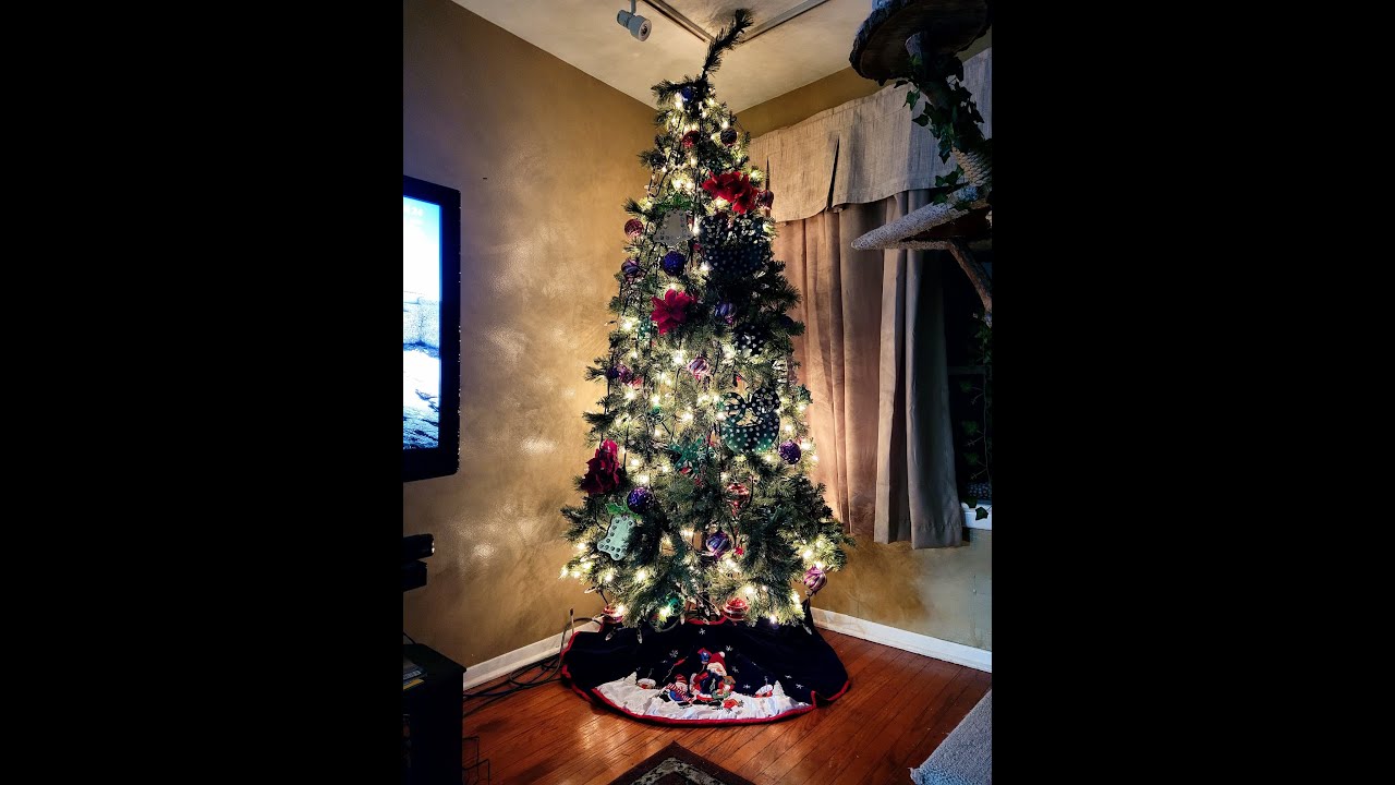 Dig Octa - XLights - Christmas Tree 2023 - Holiday Road and the  Griswold's Tree