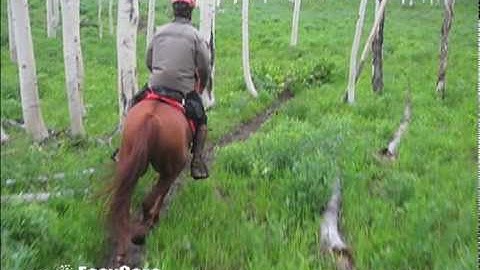 The EasyCare Revolution