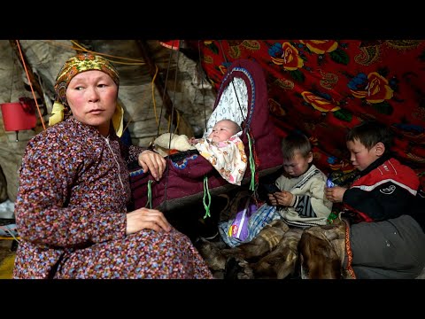 Video: Ņencu cilvēki: definīcija, īpašības, pamatdarbība, tērpi, fotogrāfijas, vēsturiskās tradīcijas un bagāta kultūra