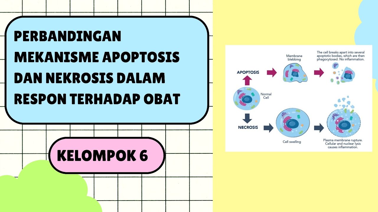 BIOLOGI SEL MOLEKULER DAN IMUNOLOGI FARMASI - KELOMPOK 6