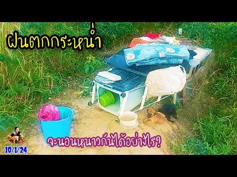 ผลสลากกินแบ่งรัฐบาล วันที่ 1 พย. 2567