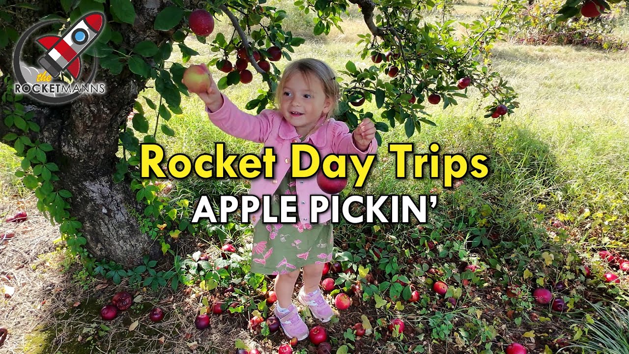 Apple Picking | 4K Cinematic Drone Footage | Low-fi Mix | Southeast USA Scott's Orchard