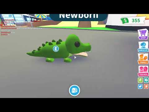 Roblox Adopt Me Getting A Crocodileold - roblox adopt me getting a crocodileold