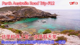 Perth Australia Road Trip #12 澳大利亚 Perth 自驾游, Rottnest Island 澳洲罗特内斯特岛一日游，这里撑得上是一座渡假天堂