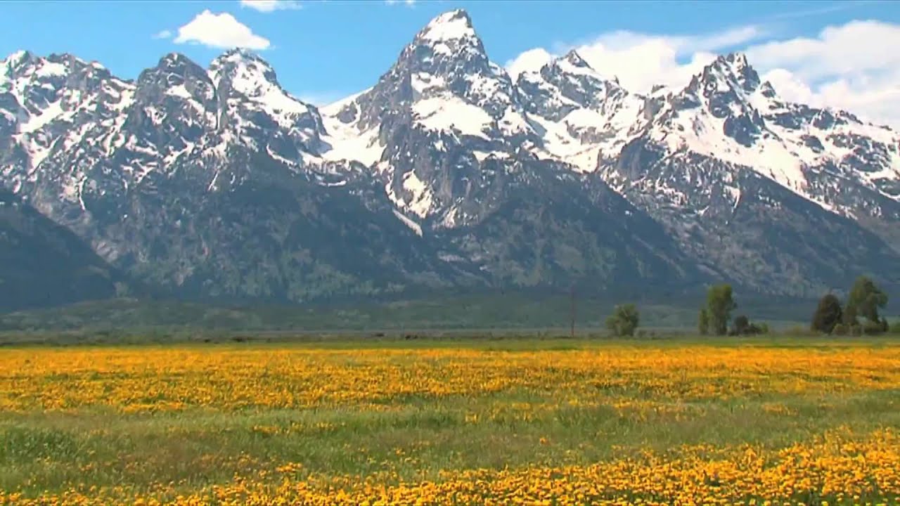 Greater Yellowstone Ecosystem Open YouTube