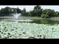 Rabindra Sarobar | Kolkata | 2023