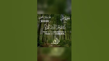 وَمَا خَلَقْنَا السَّمَاءَ وَالْأَرْضَ وَمَا بَيْنَهُمَا بَاطِلًا ۚ | تلاوة عراقية - نجم النعيمي ❤️