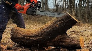 Using a #chainsaw to Square Up a Curved Black Cherry Crotch, Freehand. #diy #husqvarna #woodworking