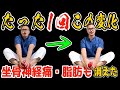 【騙されたと思って】股関節が硬い人は1回やってください!【腰・股関節・膝痛&お腹痩せ&脚痩せ&パンチ・キック力アップまでなった方法】