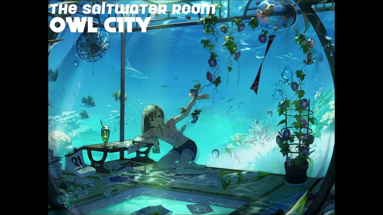 the saltwater room - owl city (maybe i’m dreaming version) (slowed + reverb)