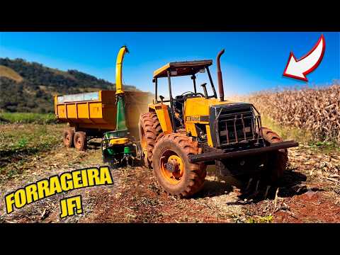 VALMET 885 CORTANDO SILAGEM COM A FORRAGEIRA JF PELA PRIMEIRA VEZ! (DEU PROBLEMA NA NOGUEIRA)😬