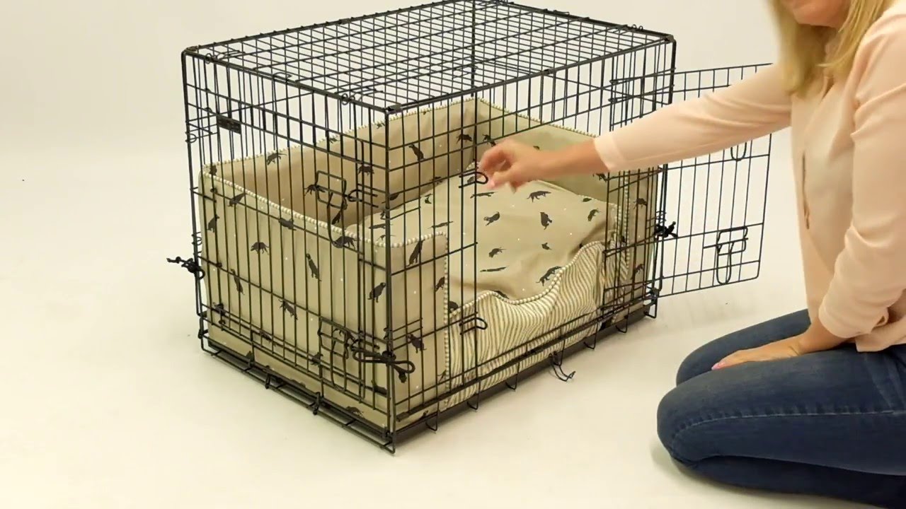 How to set up your dog crate - Dog 