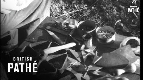 Cobbler Aka Shoe Repairer In Tree (1940)