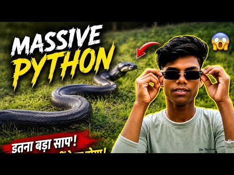 🔥 Massive Python Spotted in Ballito 😱🐍 | Giant Snake Caught on Camera! #shorts