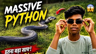 Information 🔥 Massive Python Spotted in Ballito 😱🐍 | Giant Snake Caught on Camera! #shorts News