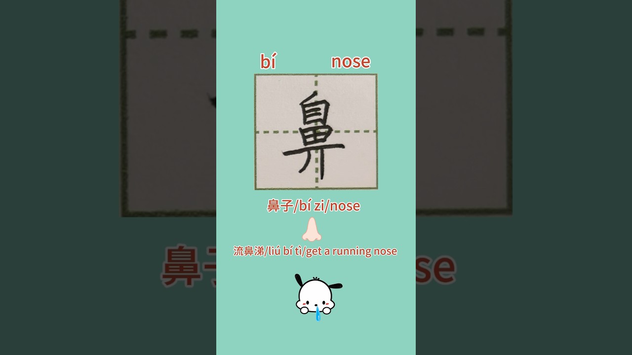 89【鼻bí】Chinese character strokes/read and write nose in Chinese with ...