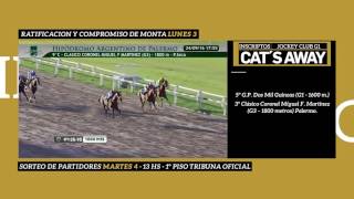 GP Jockey Club 2016 Cat's Away