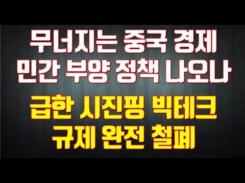   무너지는 중국 경제민간 부양 정책 나오나 급한 시진핑 빅테크 규제 완전 철폐