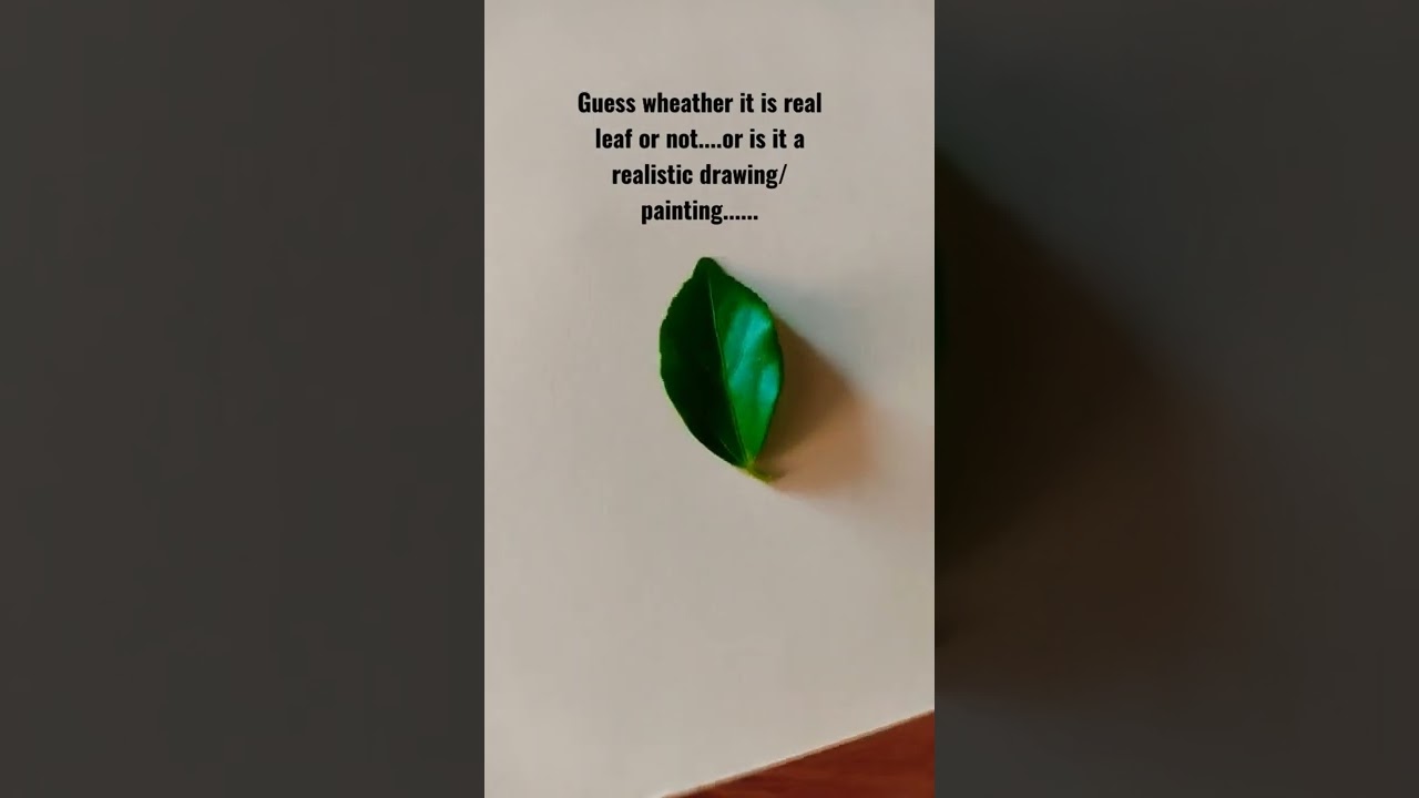 Guess whether??? is it real leaf 