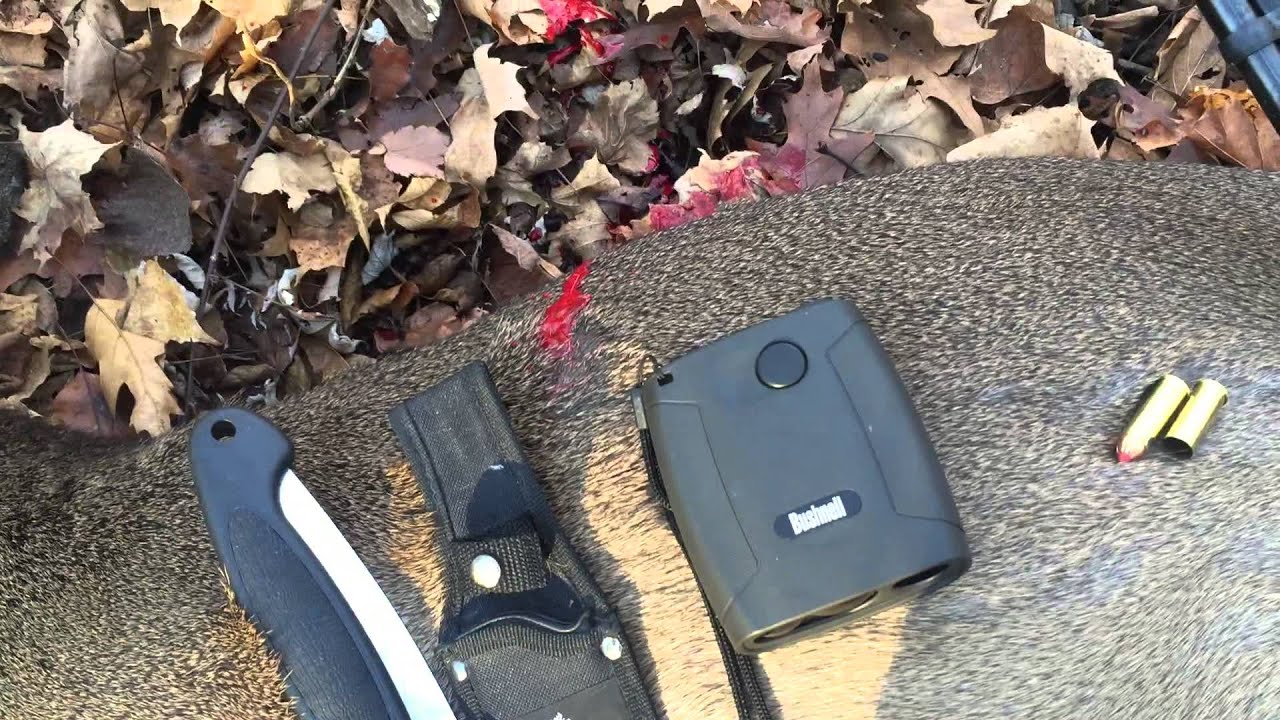 44 Magnum 225 Gr Ftx Hornady At 112 Yards YouTube