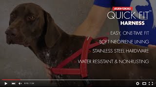 How to Fit Your Dog's Harness  EzyDog QuickFit Harness