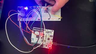 STM32 Roulette LED Game | Embedded Systems Project Demo