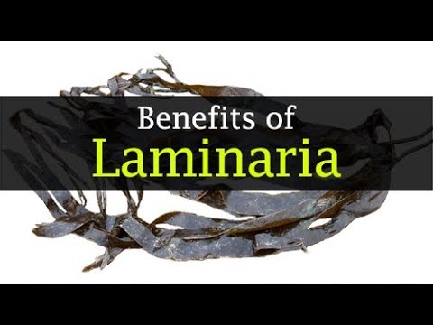 Video: Laminaria Thallus (tang) - Bruksanvisning, Anmeldelser