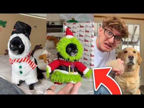 JOSH PUDDIN AND DOZER CHRISTMAS COMPILATION!!