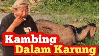 Eps 32  KAMBING DALAM KARUNG @GUSI Guyon Berisi