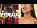 [เพลงสากล MASHUP] Timber x hot girl bummer